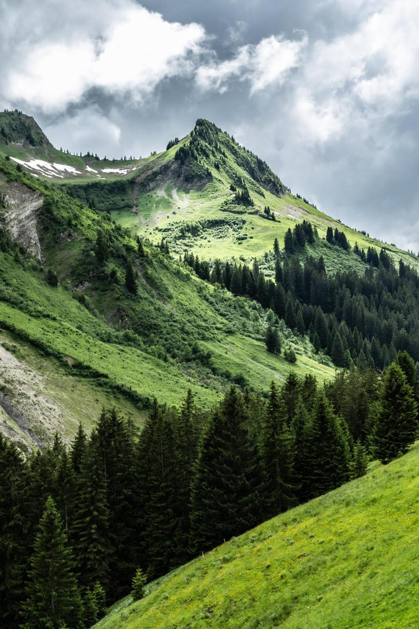 Gasthaus Ursprung Дамулс Екстериор снимка